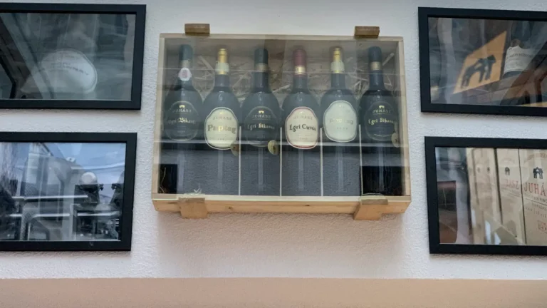 Így-kezdődött-egy-barátság-2