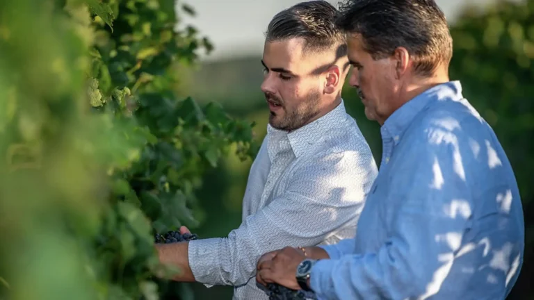 Juhász-Testvérek-Egerszalók-10