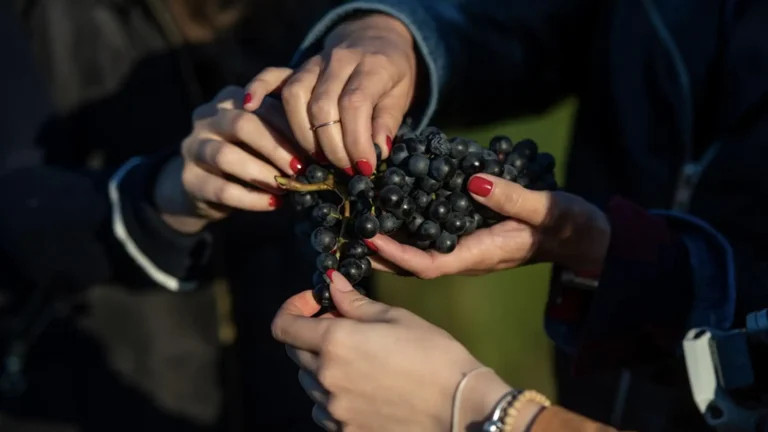 Juhász-Testvérek-Egerszalók-14