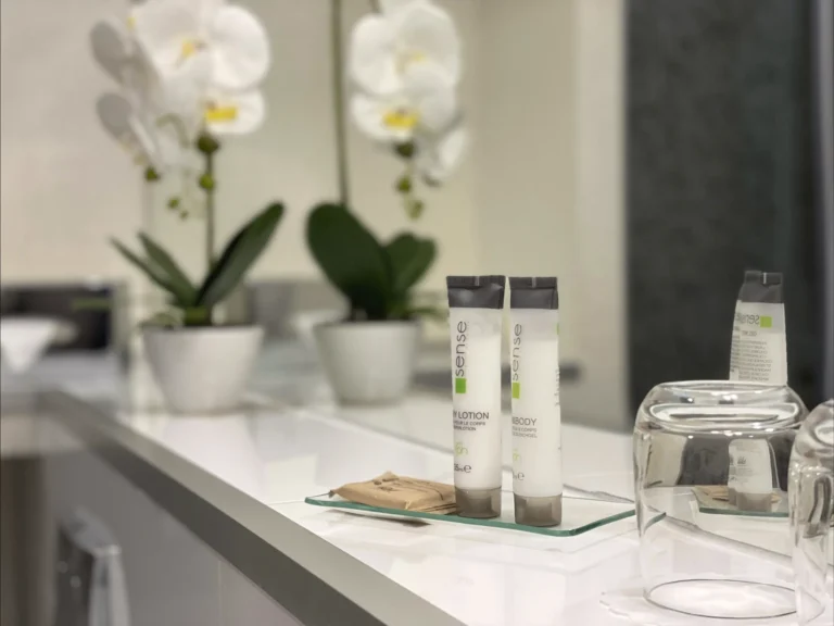 Smart-Grand-Superior-room-102-13