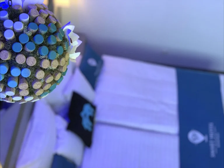 Smart-Grand-Superior-room-102-6