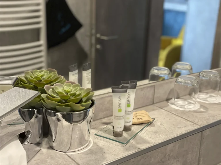 Smart-Superior-room-202-1