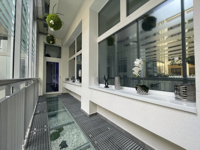 Smart-Superior-room-glass-area-3