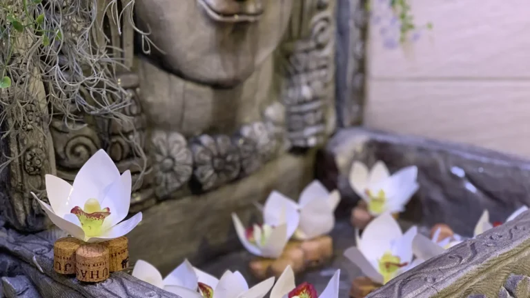 Vízköpő-installáció-1